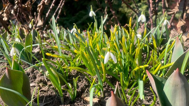 ����������� ������������ � ���������� ��������