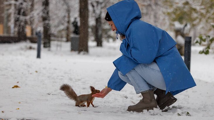 ����� � ��������� ������� ����� ���� �� �������� �������