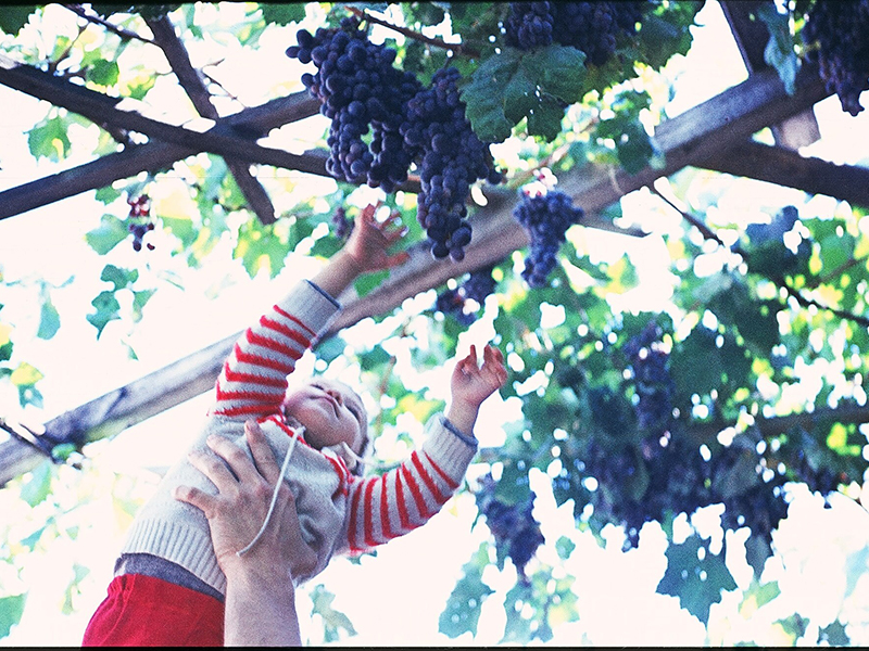 ������������� ���������� �� �������� �������� "����� ����" 18 ����!