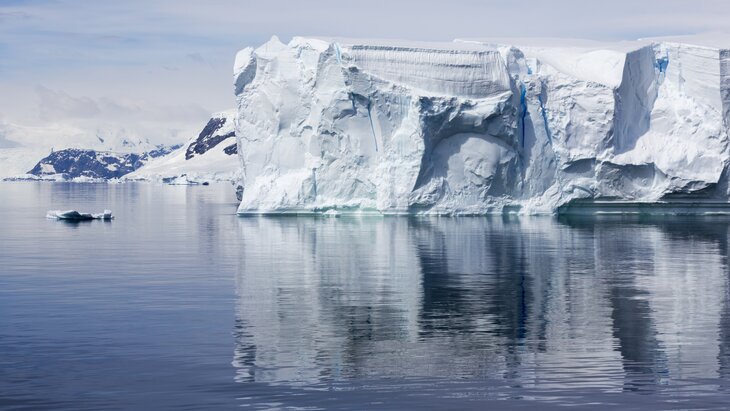 ������� ���� � ���������� � 2023 ���� ����� ����������� �� ��������� 45 ���