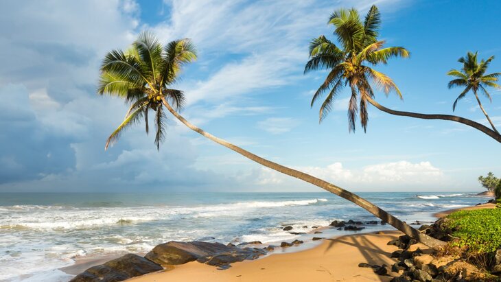 ���� �� ���-����� ������ �������� ��� �������� �� �� � ����