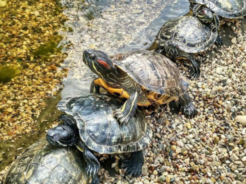  Instagram "������������ �������" ���� ����� ���������� ����� ������