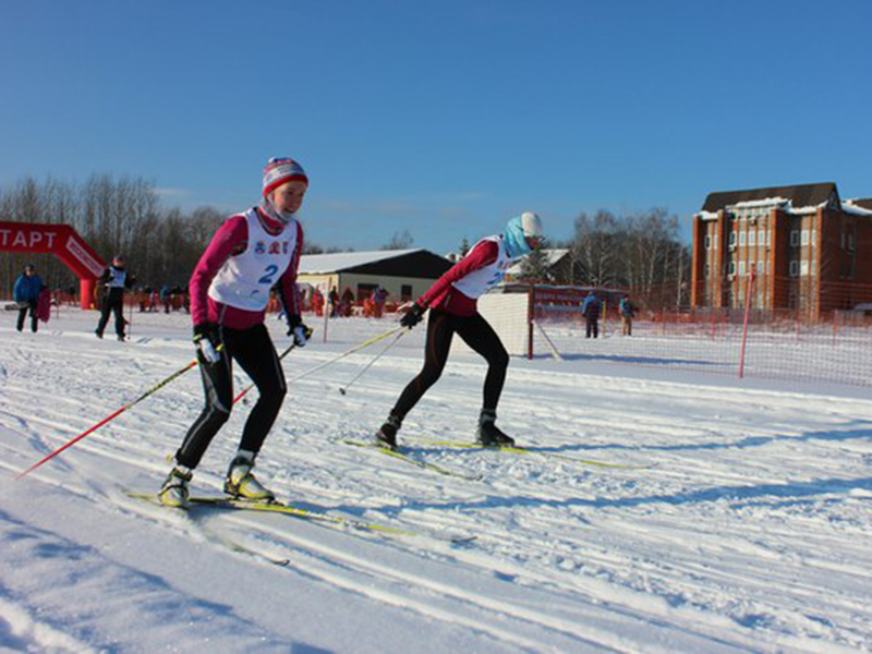 � �������������� ������ 6 ������� ������� ������ �����