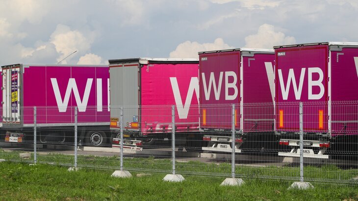 ������������� ����� Wildberries � ����������� �����������