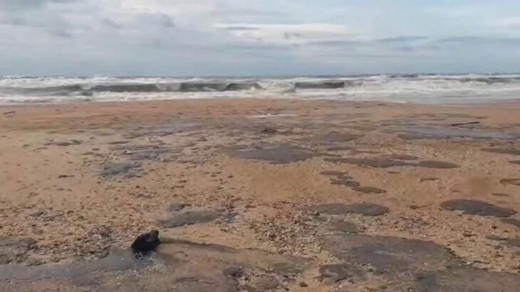 ����� �� ������ � ���� ��������������� �� ������ ����� ������� ��������������