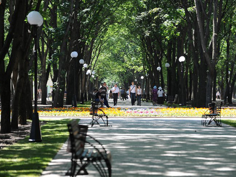 ������ ����������� ������ �������� � ������������� ��������� ������