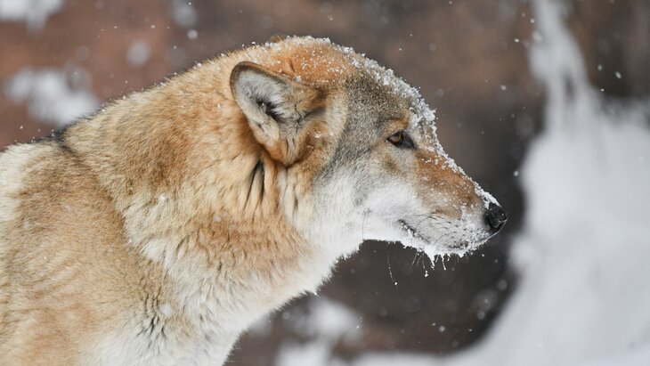 � ������ ������� �������� ������ ������ ����� �������� ���� ��� ��� �����