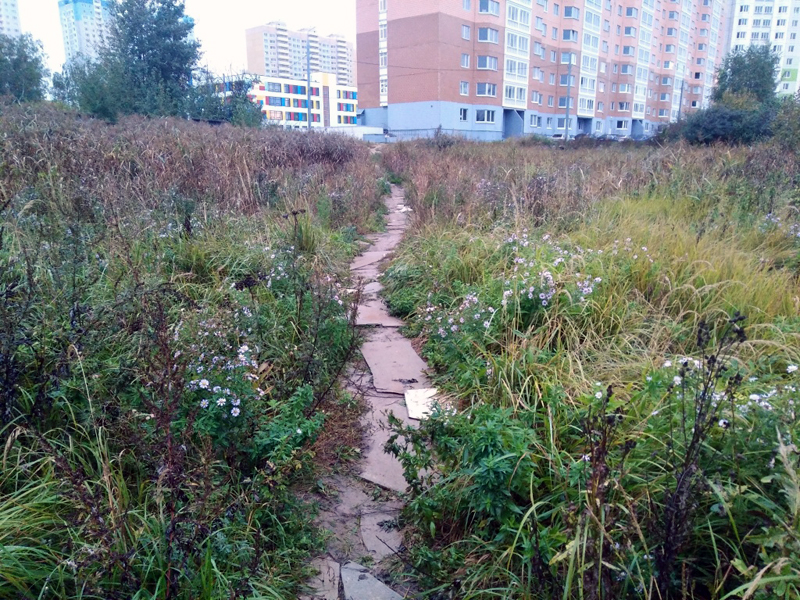 � �������������� ������ ��������������� ���������� �������