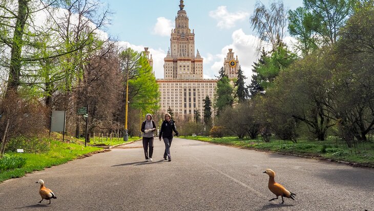 ����������� �� 20 �������� ��������� � ������ � ������ ������ ���