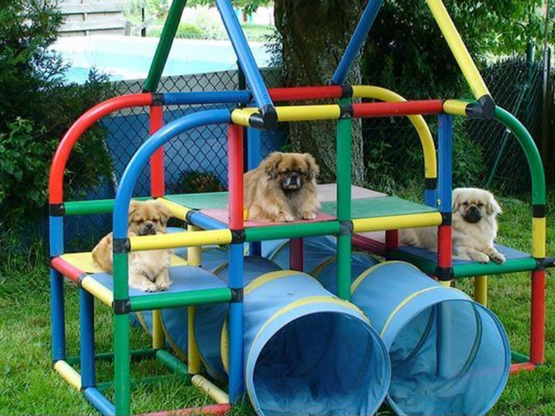 ������������ ����� ������� ����������� �������� ��� ������ ����� ��� ������������� ����� � ������