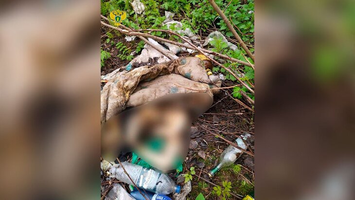 ������ �������� ���������� � ������ ������� � �����