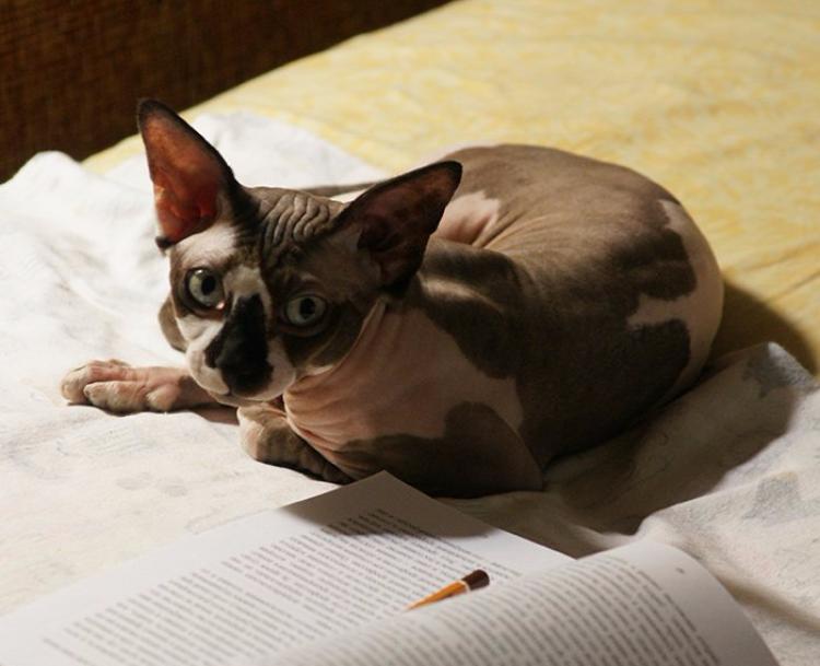 ���� � ����������: � �������� ��������� � ������������ �����