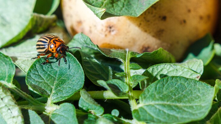 ������� ������� ������ ������ ������ � ������������ ������