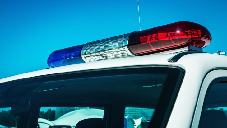 ����������� ������ �� ����������� � ���������� �������