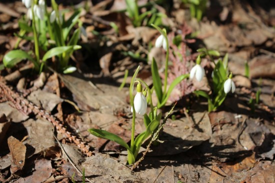 � ���������� ������ �������� �������� �����������