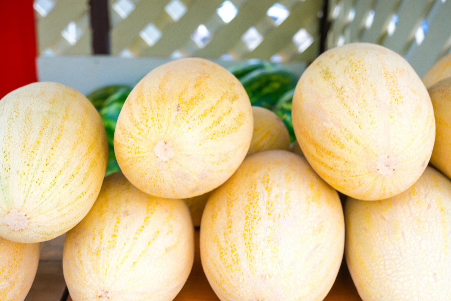 �������� ������� ��������� � ����