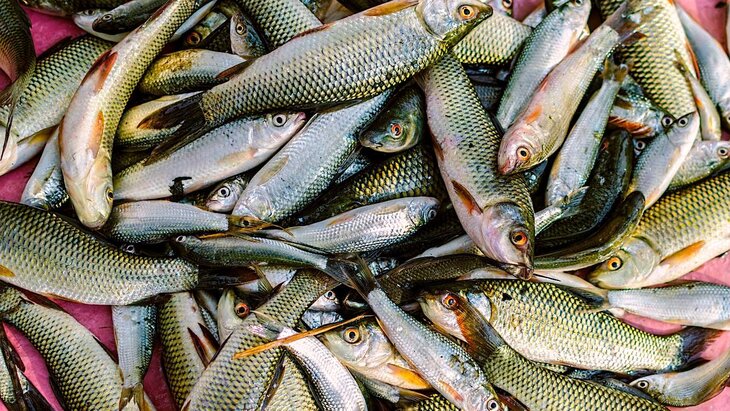 �������� �������� ����������� �� ���������� ����