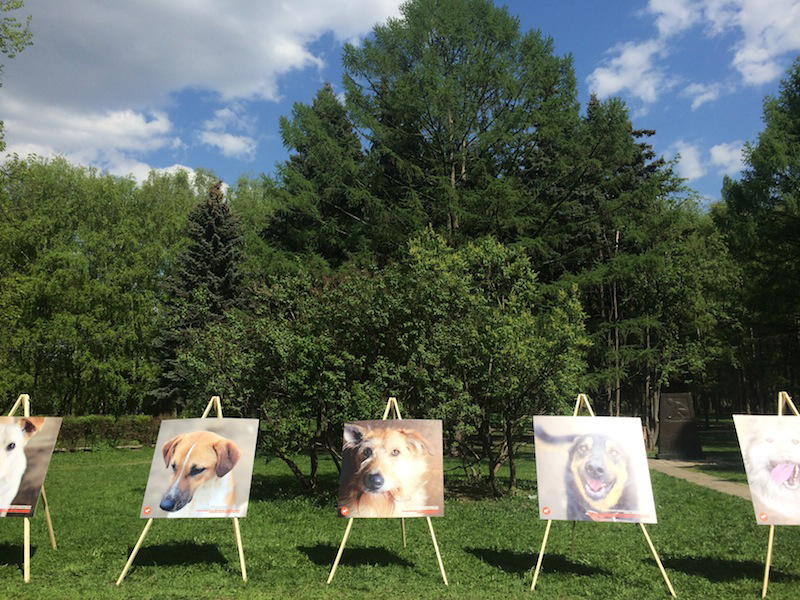 16 ��� �� ������� ������� ������� �������� ����� �� ������