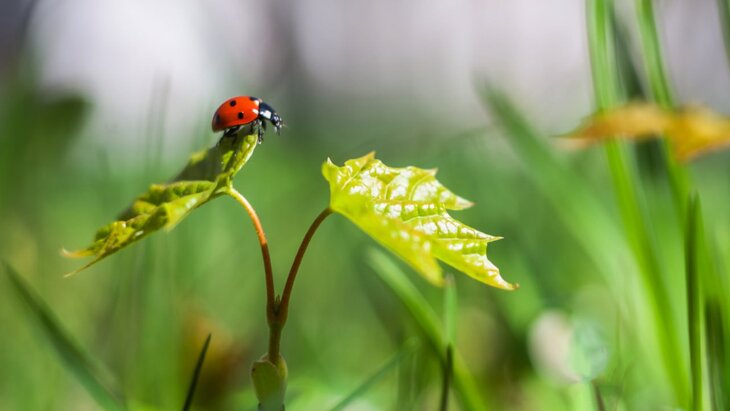 ��������� ���������� �������� ���� ������ ������� �� ����