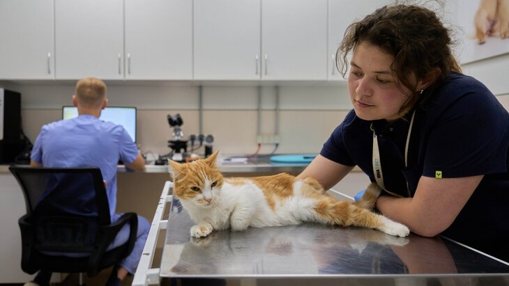 ���������� ������ ������� � ����� ��������� � ��������� �� ���� �������