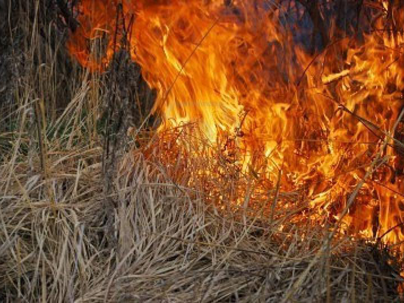 ��������������� ������ ������� � ������ ����