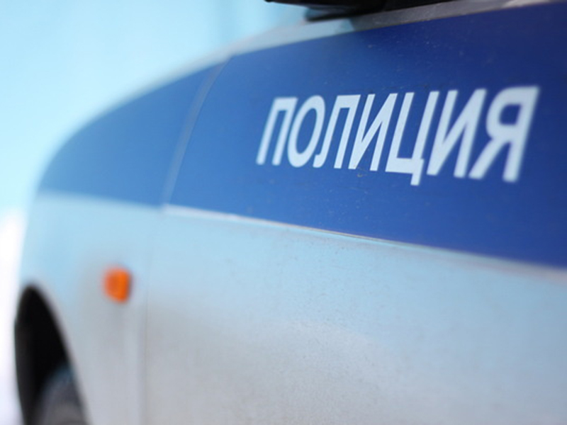 � ������ ������������� �����������