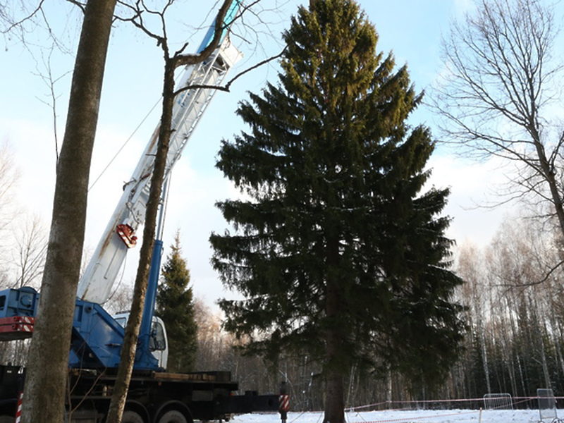 ������� ���� ������ ������� � ���������� ������