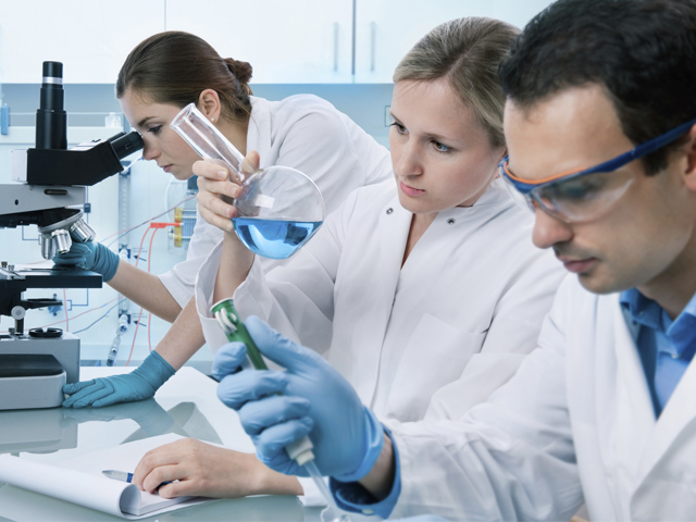 ������� �������� ���� ����������� ������ ������� ������