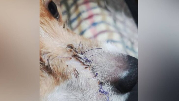 ��������� ��������� ������������� ������ � �������� �� �����