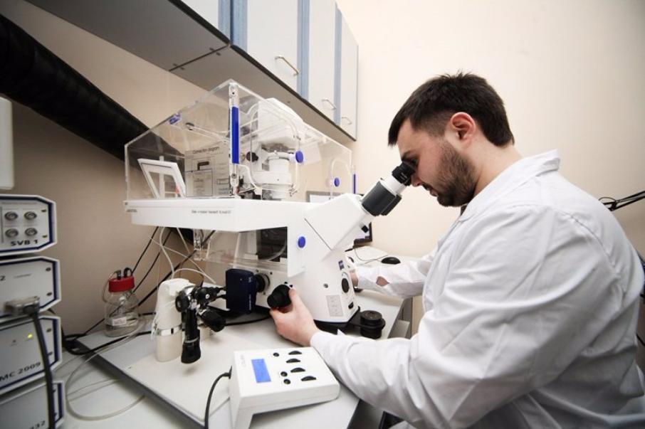 ������ ���� ����� ���������� ����������������� ������