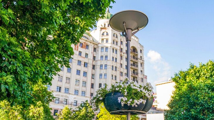 ����� 250 ����� ��������� ����� ������� ������� � ���� ����