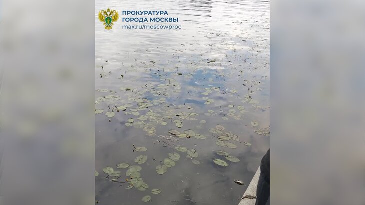 ����������� ������ �������� �� ����� ������ ���� � ������-����