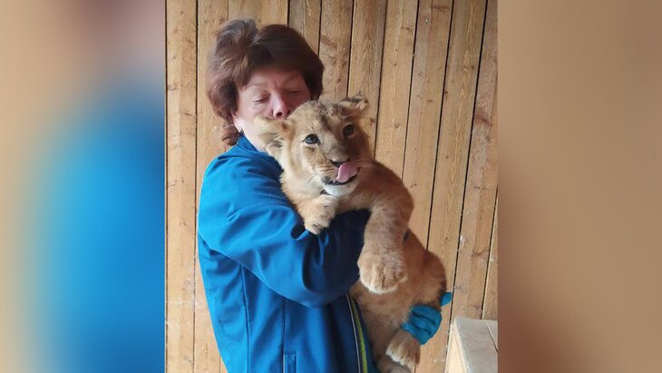 ������������ ������� ��������� �� ������ �����������