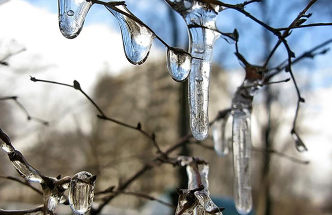 ������ �� ���� ������ �� �����