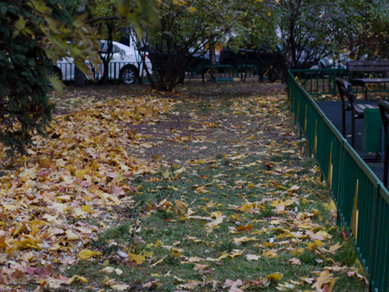 ��������� ������� ��������� ���������� ������ �������� ������� ������ ������