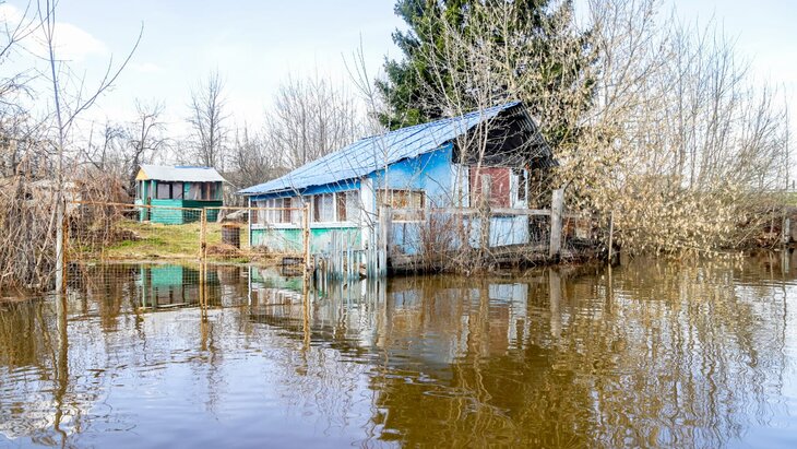 ����� ��� ������ ���� ����� ��������� �������� � 2025 ����