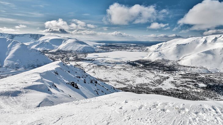 ������ �� ����� 37 �������� ������ � ���������� �������