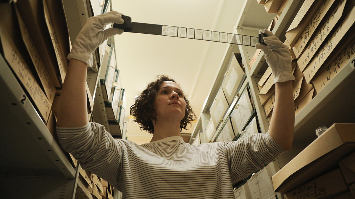 � ���� ������� ��������� ������ ��������� � ����� ��������� ����������� ��������