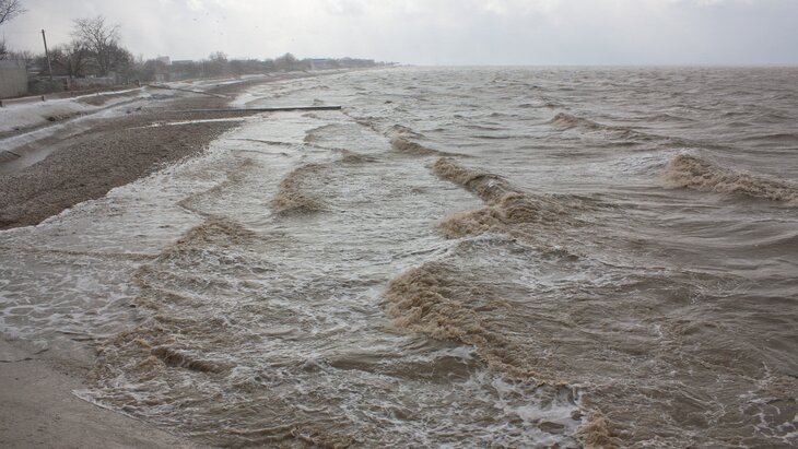 ������ ������ �������� � ���������� ����� �������������