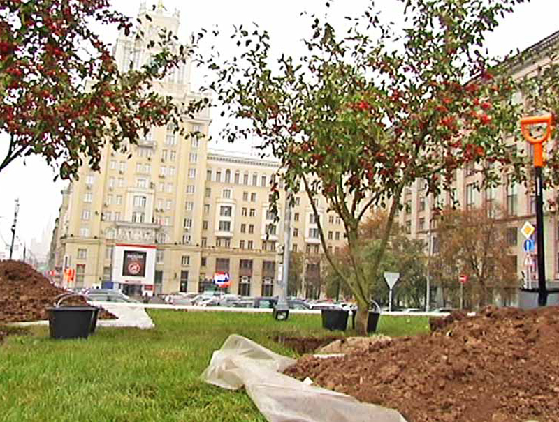 ������������� ���������� ������� ������� � ���������� ��� ���������� ������ �� ��������� �������� ��������