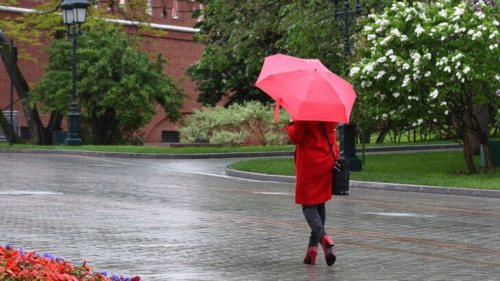 ��������� ������������ � ������ �� ������ �������� ���