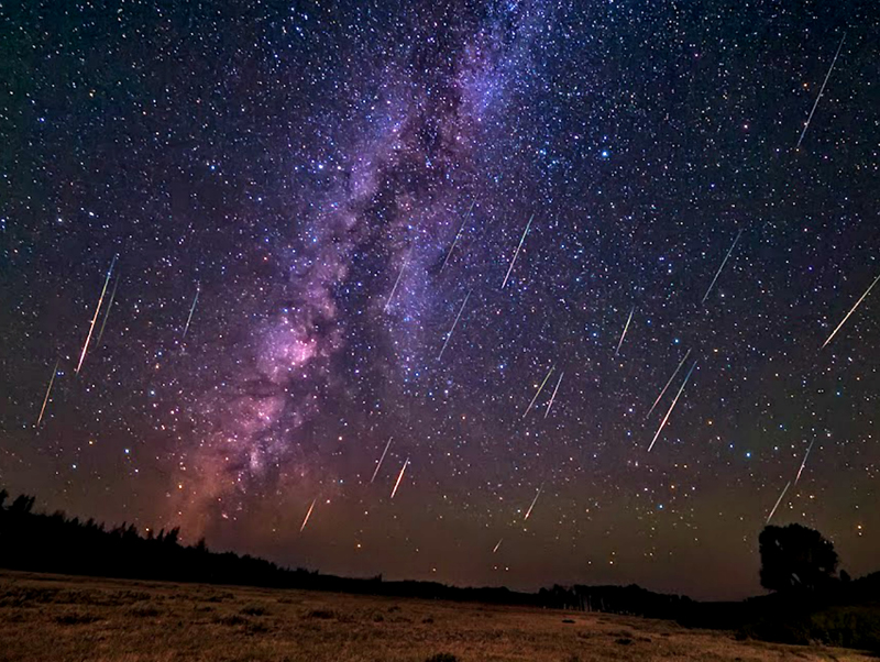 ������� ����� ����� ����� ��������� �� �����������