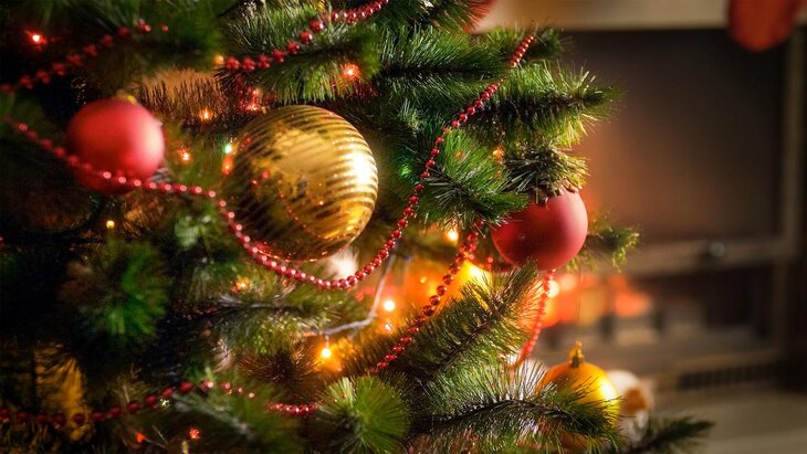 ���������� �������� ��������� ������ ���� � 2026 ����