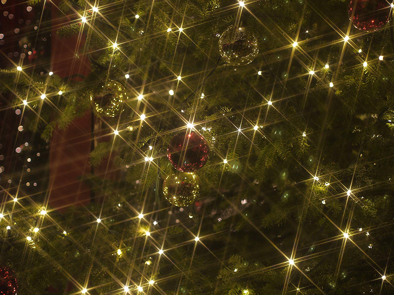 ���� � ������ �������� �� ����������� ������