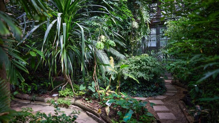 ����� � ������, ��� ���� ����� ������� ���