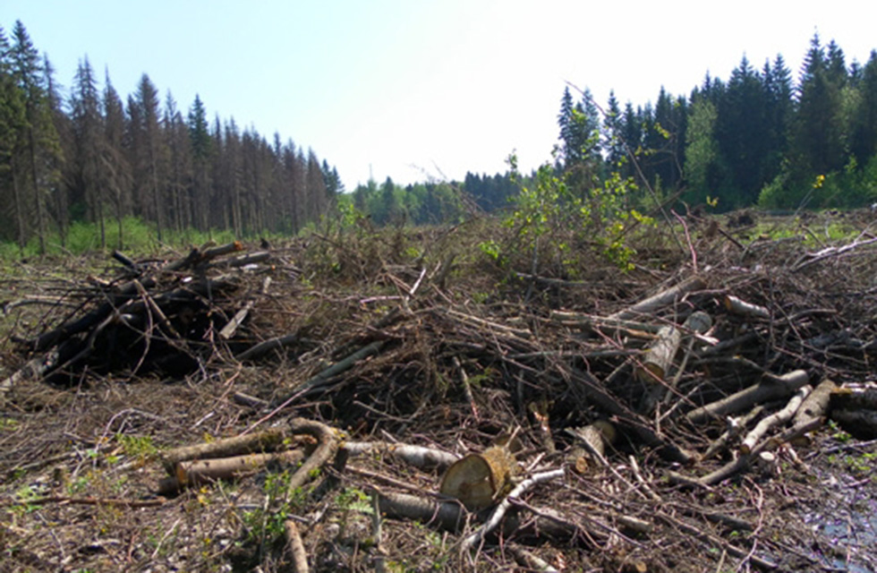 ���������� ������� ����� ������� � ����������� 5 ���