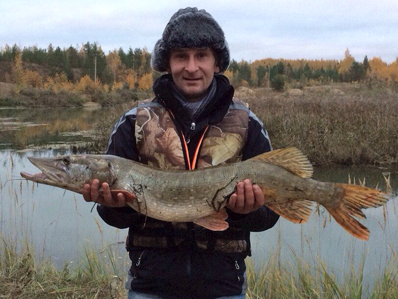 � �������� ������ ������� ������� ��� ������������ ��������� ��������� �������