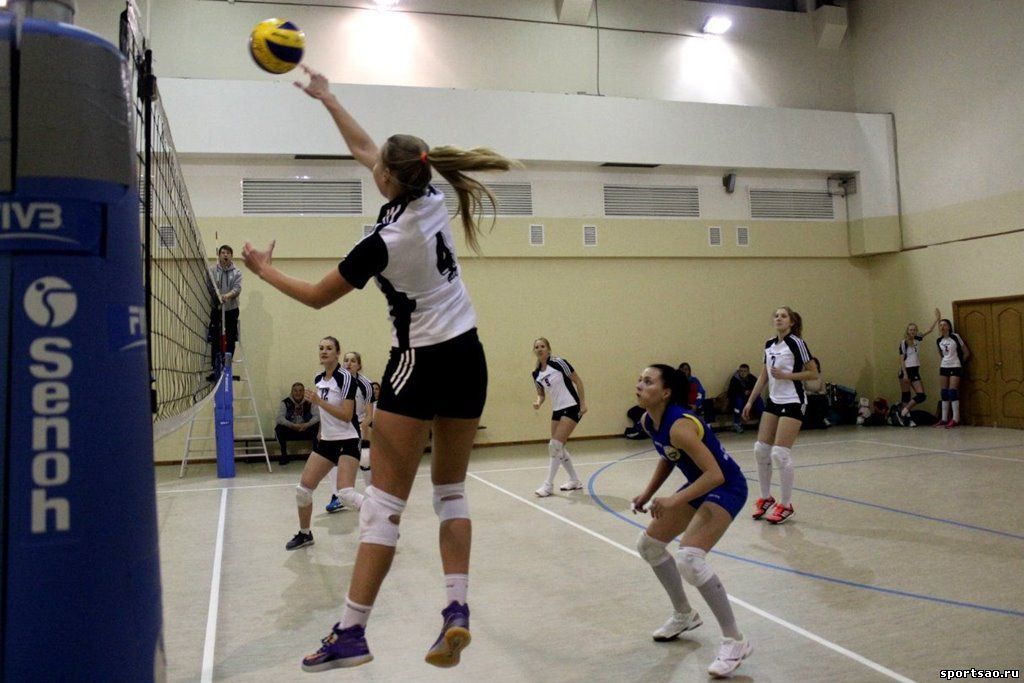 ������� ������� ������������� ��������������� ������ ������������ �� �������� ������������ 