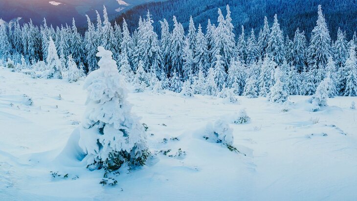 ������������� ������ ��� ������� ������ ������� �����