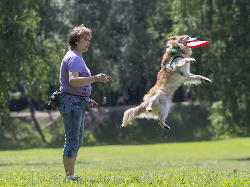 � ����� ������� ������ ������� ���������-2015�